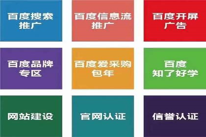 揭秘SEM搜索引擎优化成功案例，助您优化策略